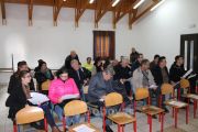 IMG2472-Copy