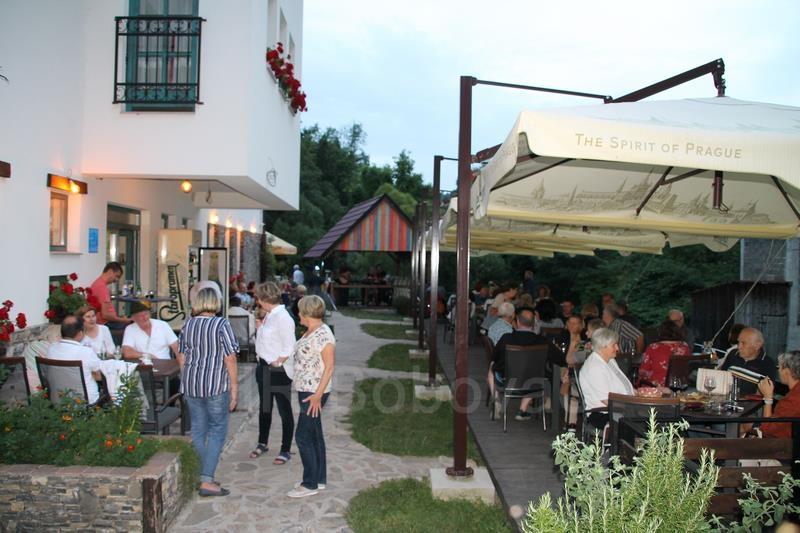 IMG7484-KoncertMlin