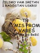 TR-MIS-PROM