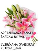 ORHIDEJA