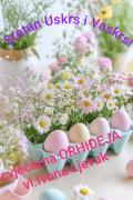 ORHIDEJA