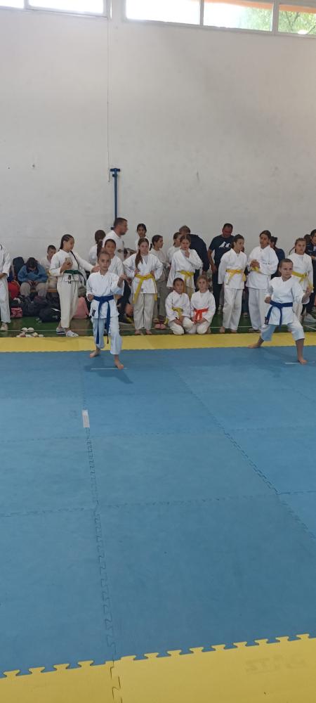 karate-turnir-Drvar-18