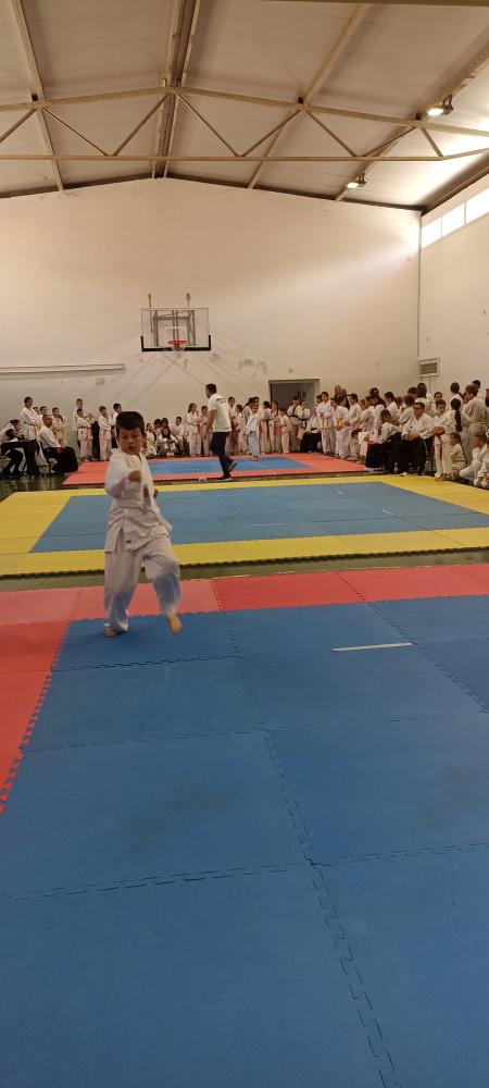 karate-turnir-Drvar-31