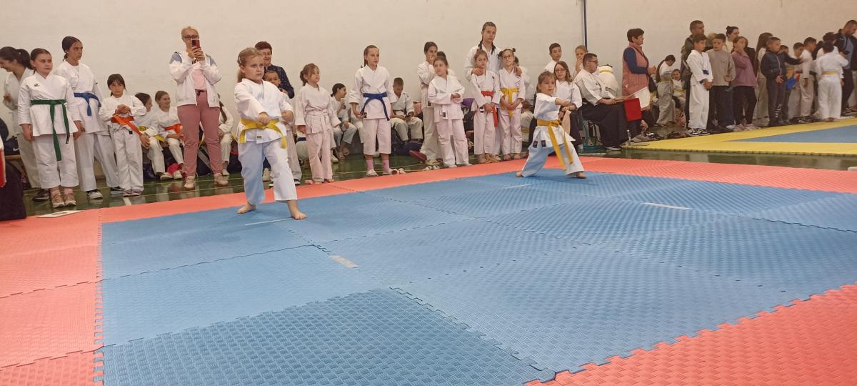 karate-turnir-Drvar-4