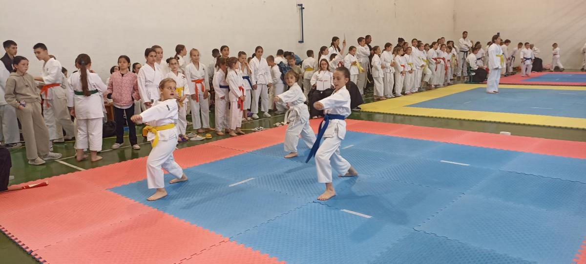 karate-turnir-Drvar-8