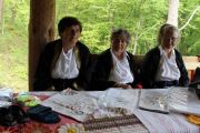 IMG7079-Copy