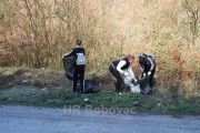 IMG3216-IzvidjaciR444