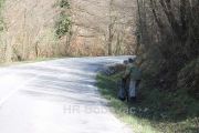 IMG3220-IzvidjaciR444