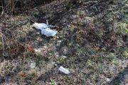 IMG3229-IzvidjaciR444