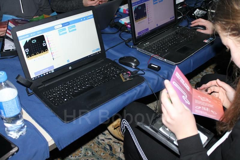 IMG2213-Microbit