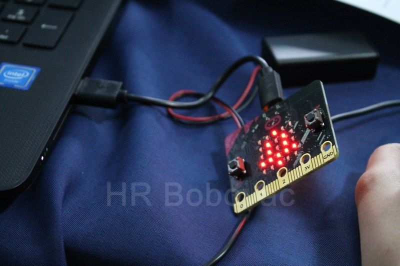 IMG2217-Microbit