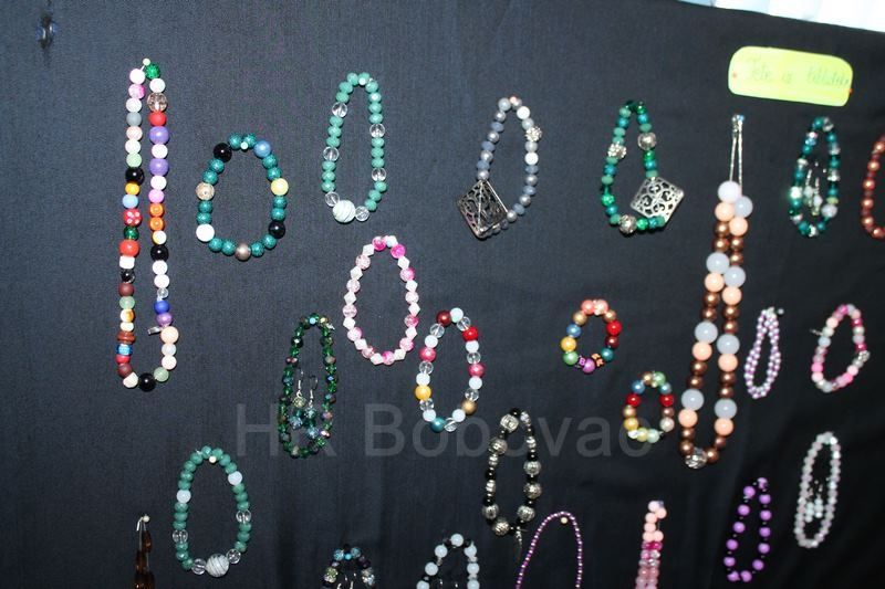 IMG4666-PerlicaPoPerlica