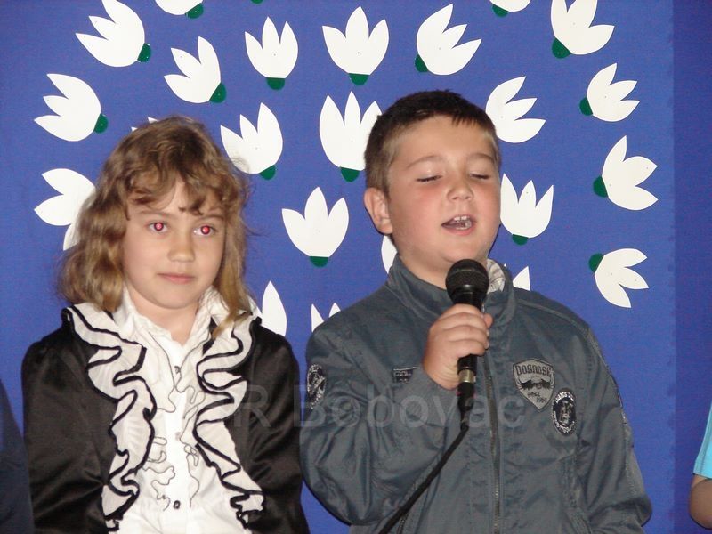 DSC00017-MajdanDanSkole