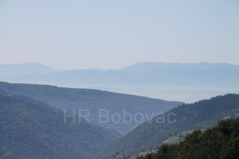 IMG7747-BorovicaPatron
