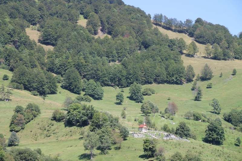 IMG7752-BorovicaPatron