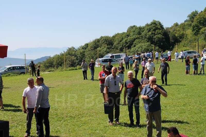 IMG7774-BorovicaPatron