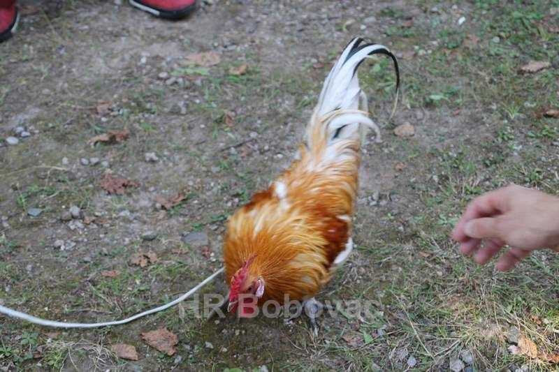 IMG7846-Pekijada2019