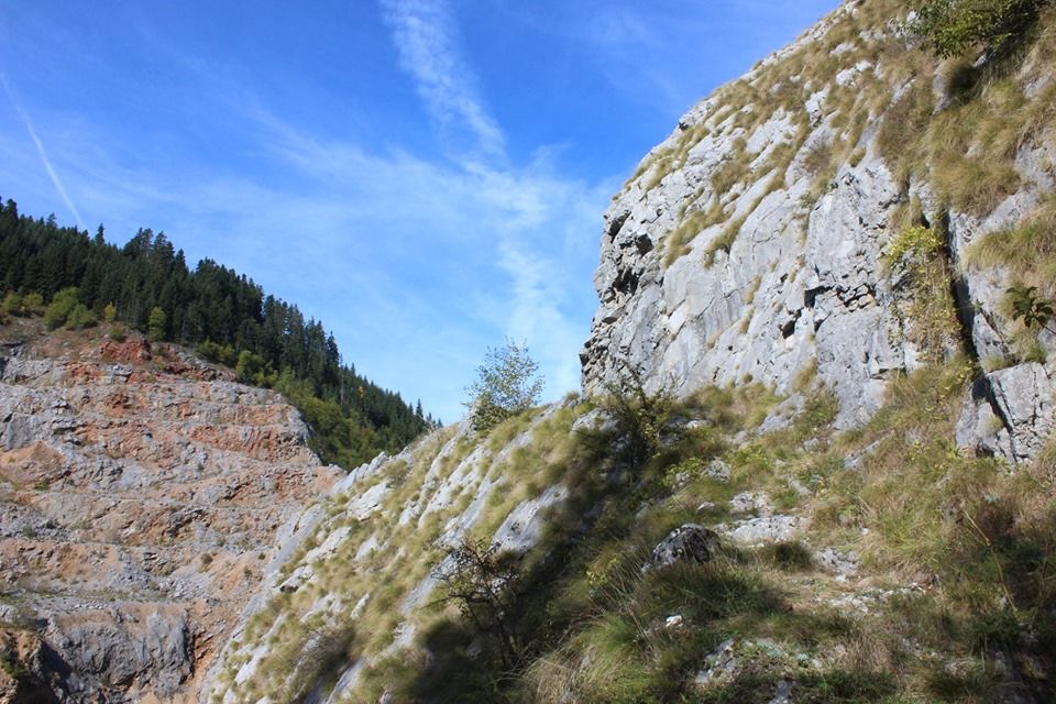 BoskoV15