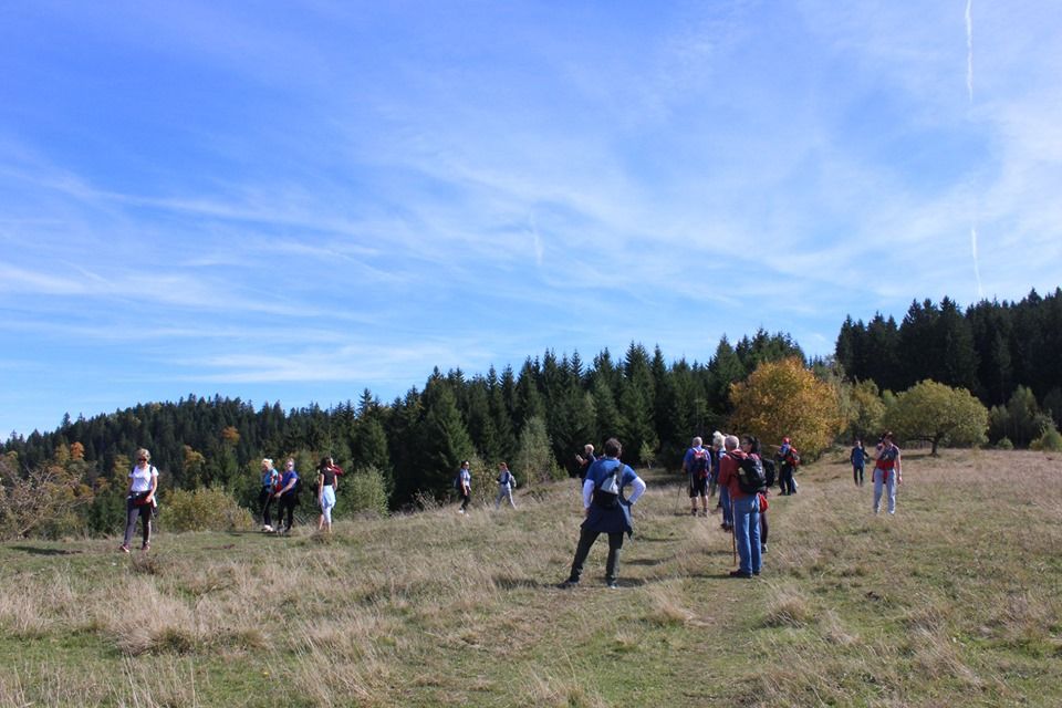 BoskoV29