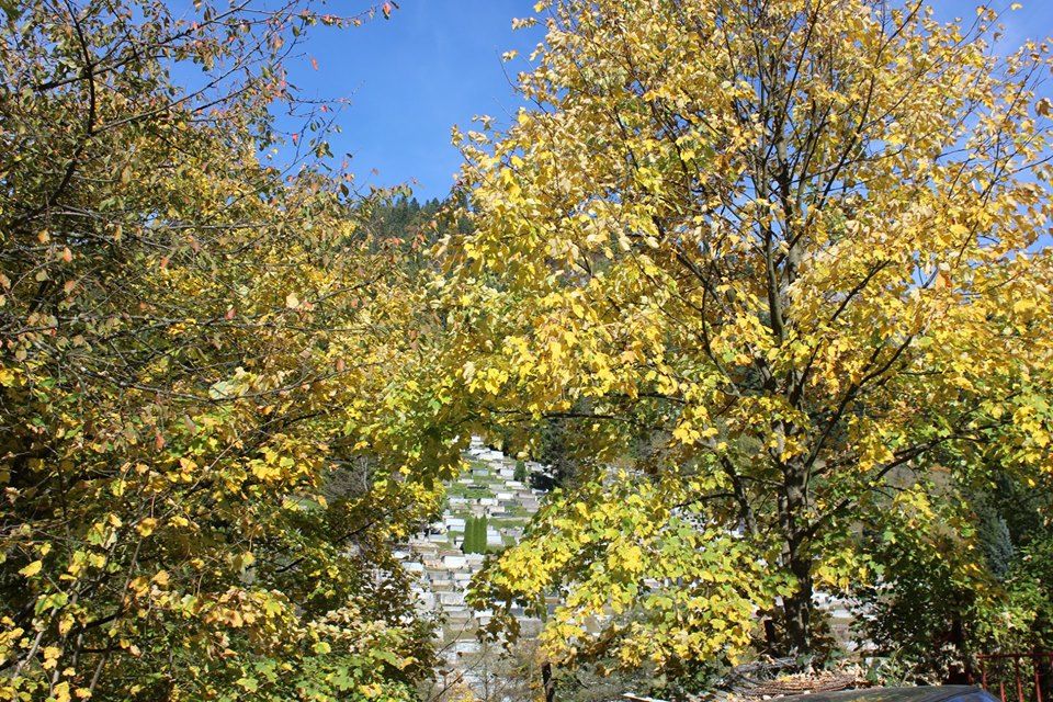 BoskoV7