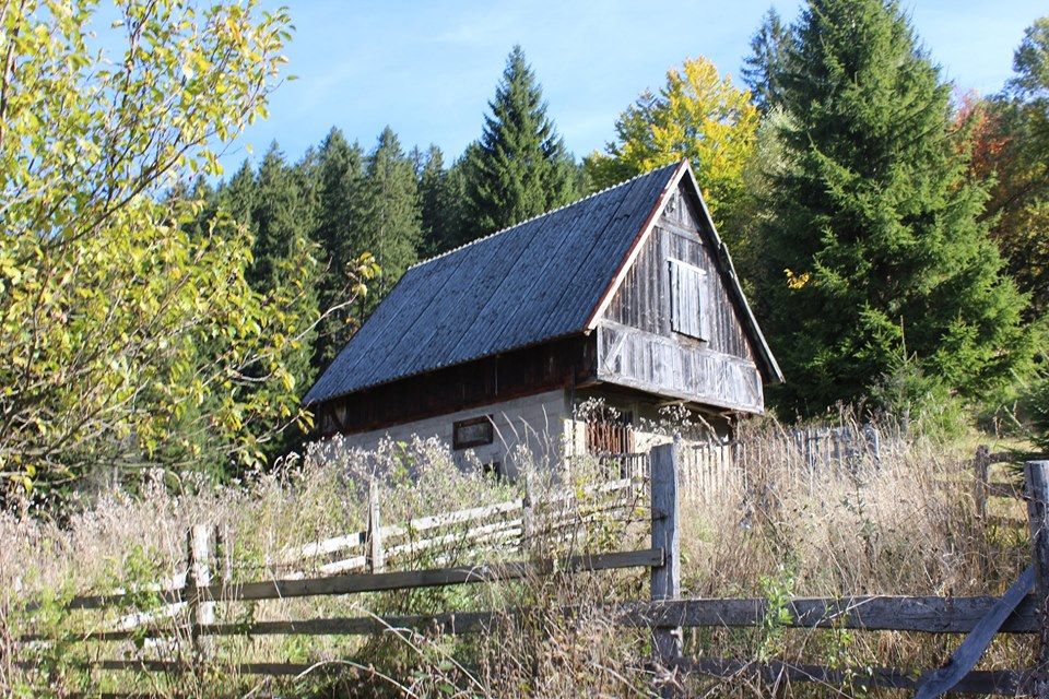 BoskoV9