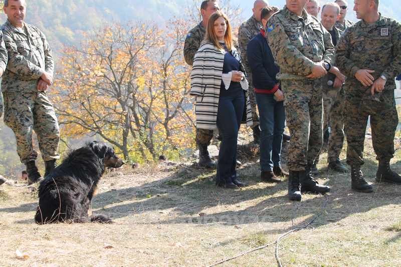 IMG0471-Bobovac2019