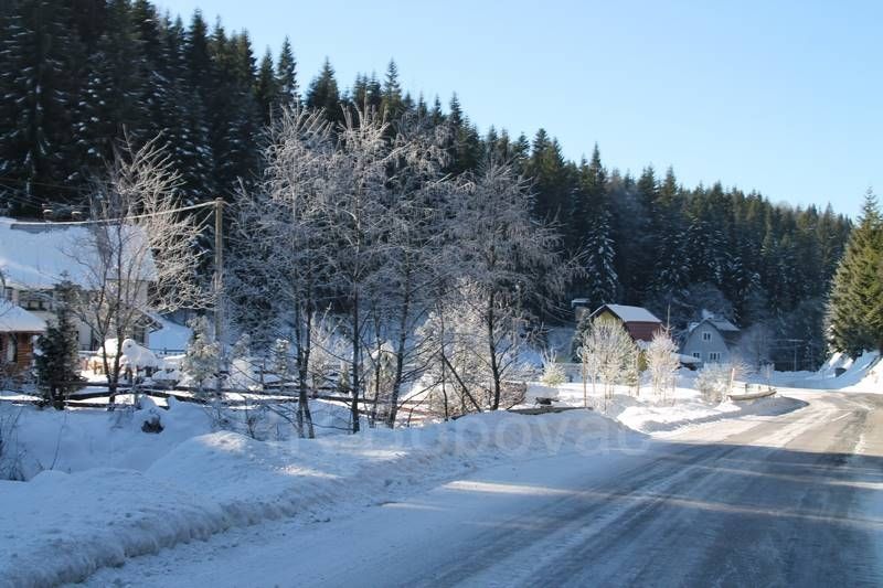IMG2482-Zvijezda2020