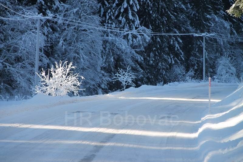 IMG2488-Zvijezda2020