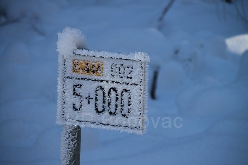 IMG2489-Zvijezda2020