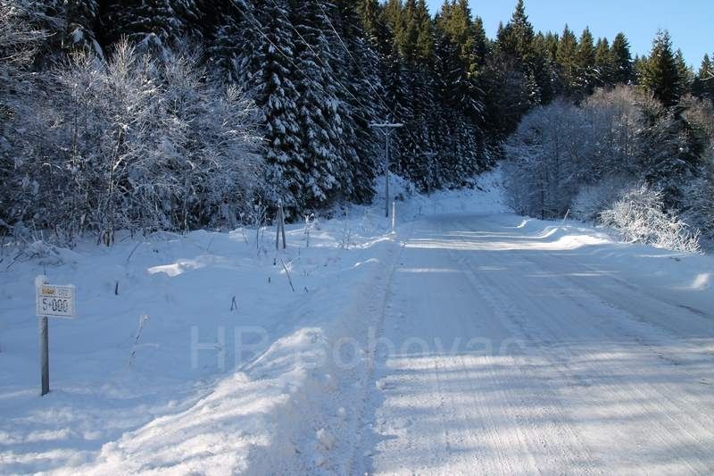 IMG2490-Zvijezda2020