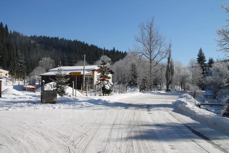 IMG2495-Zvijezda2020