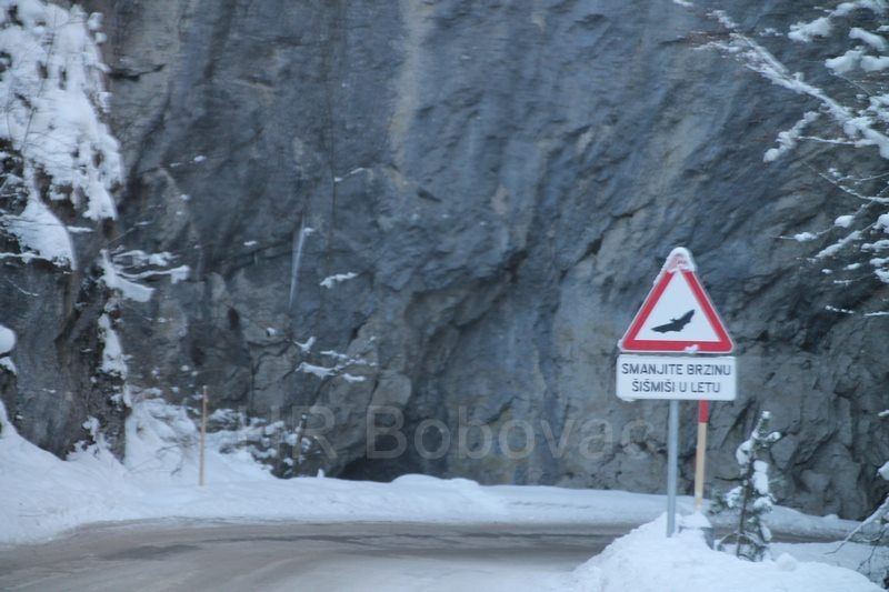 IMG2499-Zvijezda2020