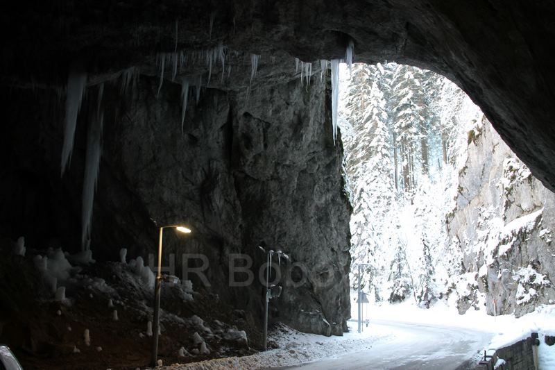 IMG2506-Zvijezda2020