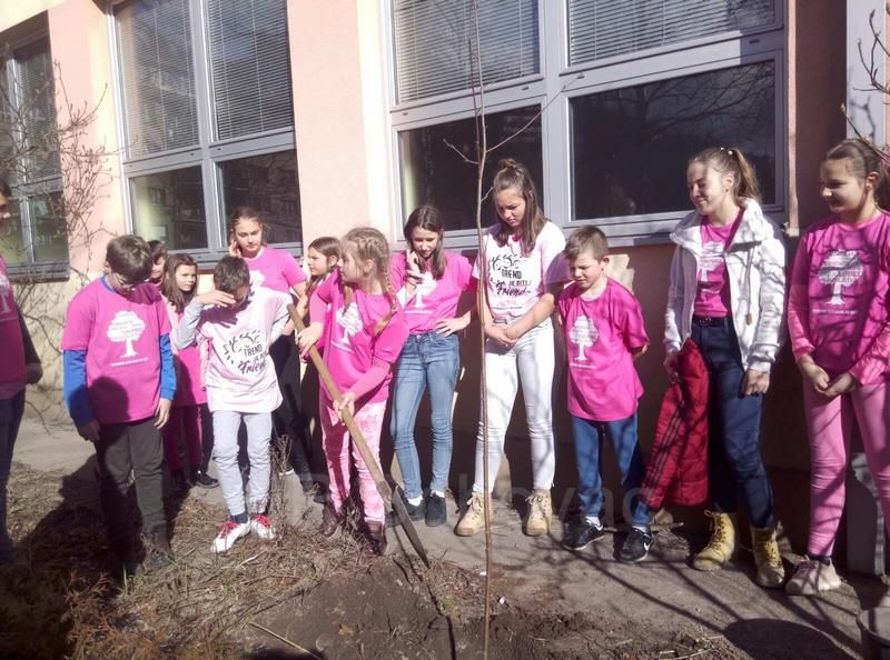 IMG-0a326e7d155cd9ffb0013c07fec0de96-V-RuzicasteMajice