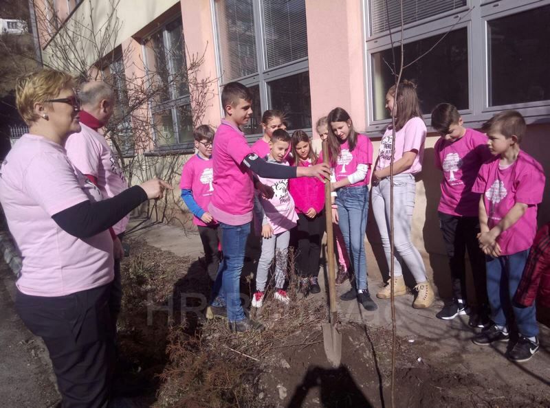 IMG-1af0e2fefdecc6289c840f8089927238-V-RuzicasteMajice