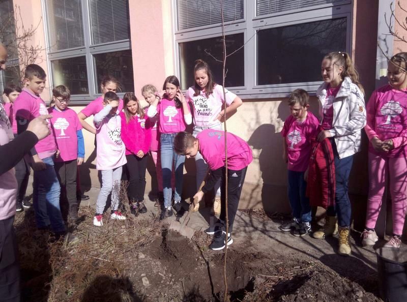 IMG-698a6a956ca141aaa7c3d2bf4b97068b-V-RuzicasteMajice