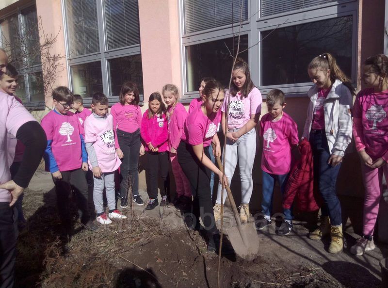 IMG-b339e0eea4d8b9aa312914457f8d011d-V-RuzicasteMajice