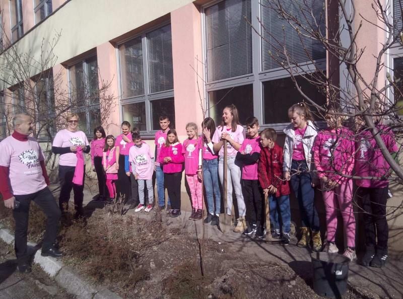 IMG-c66ce970823d3e280c8b7aae5f47a7ff-V-RuzicasteMajice