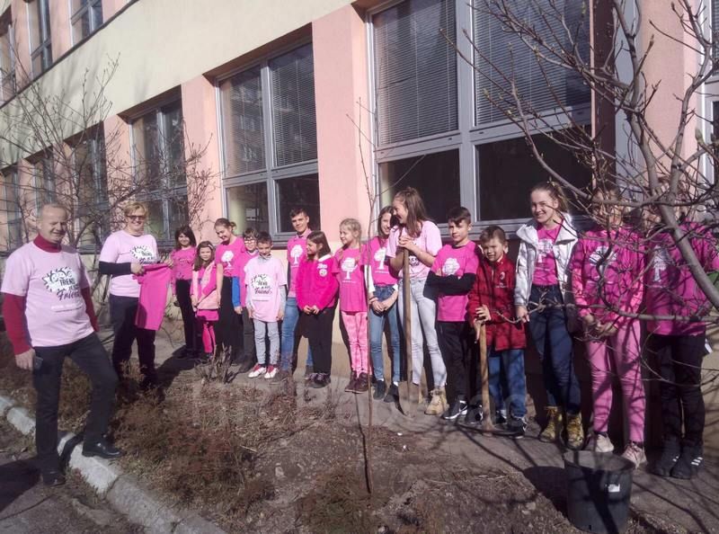 IMG-df846fd8e2a8bcbbd240ec2f8e6b04d2-V-RuzicasteMajice