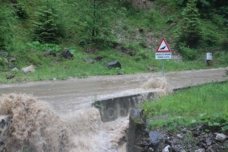 IMG3569-Tunel2020