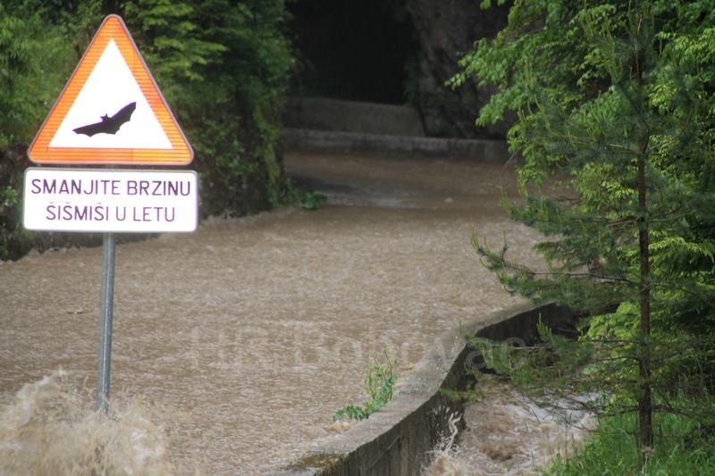 IMG3571-Tunel2020