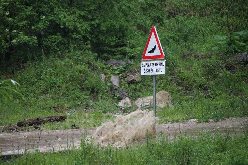 IMG3577-Tunel2020
