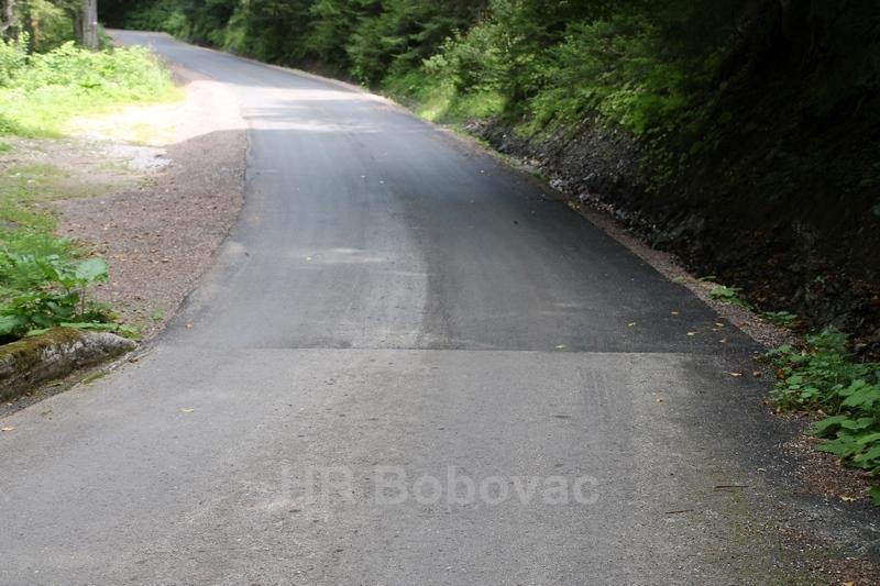 IMG4171-BorovicaRadovi