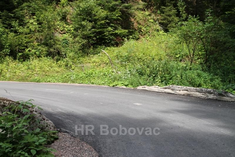 IMG4173-BorovicaRadovi