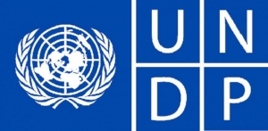 UNDP-ov poziv za projekte: Dijaspora za razvoj