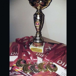 Varešani osvojili 14 medalja na karate turniru u Kraljevu
