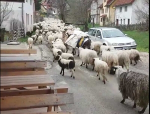 Javni apel iz MZ Vijaka i Župe Vijaka