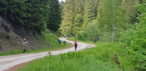 Mjesna zajednica Strica-Zaruđe održala akciju na putu