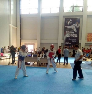 Vareš ima viceprvaka Balkana u teakwodou!