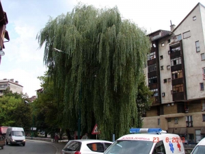 Buran vikend iza nas